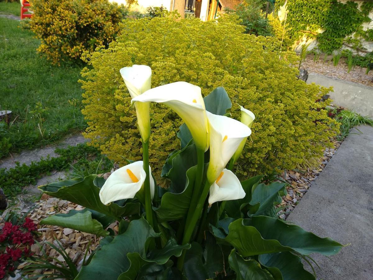 La Ribambelle Bed & Breakfast Saint-Brisson-sur-Loire Luaran gambar